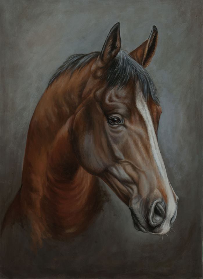 699x960 Photo To Portrait Head Of A Brown Horse In Oil On Canvas - Brown Horse Painting