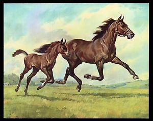 300x237 Vintage 1960's Horse Winde Fine Lithograph Art Print - Brown Horse Painting