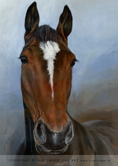 460x650 Acrylic Pet Portraits Art Gallery - Brown Horse Painting