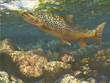 366x275 Brown Trout - Brown Trout Painting