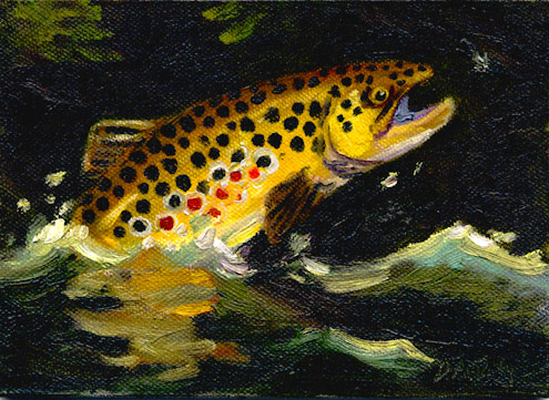 495x361 Leaping Brown Trout Fly Fishing Painting By Dan Daly - Brown Trout Painting