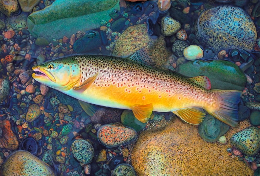 992x673 Martin Simpson More Paintings - Brown Trout Painting