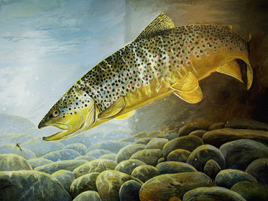 384x288 Brown Trout Painting Archives - Brown Trout Painting