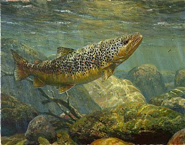 366x286 Brown Trout - Brown Trout Painting