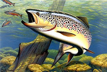366x246 Brown Trout - Brown Trout Painting