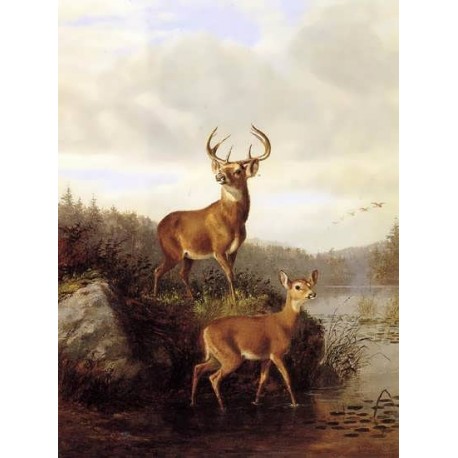 458x458 Buck And Doe By Arthur Fitzwilliam Tait - Buck Painting
