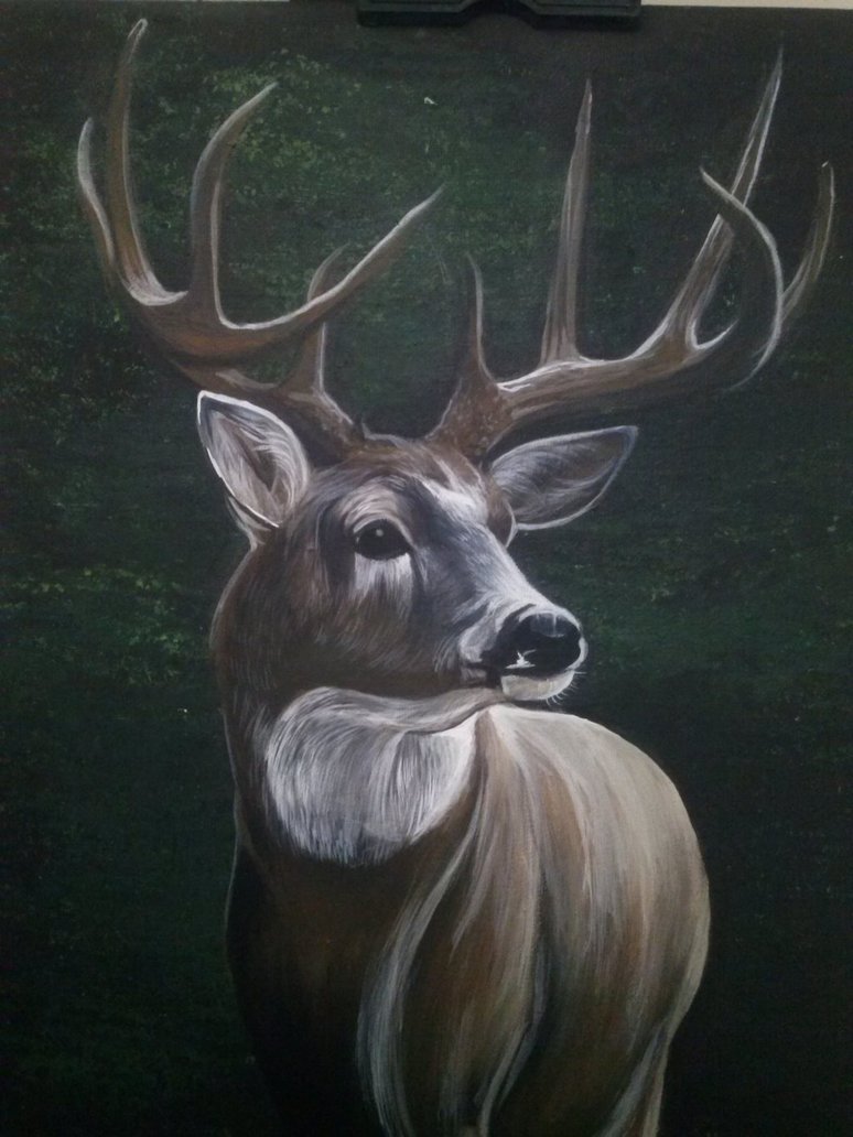 774x1032 Acrylic Buck Painting By Bradwalker49 - Buck Painting