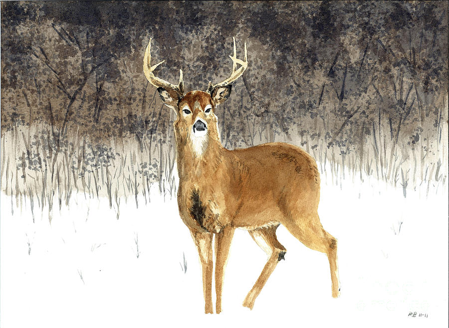 900x658 The Buck Painting By Robby Bragdon - Buck Painting