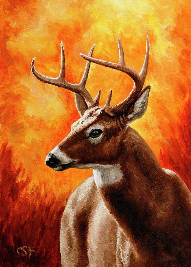 642x900 Whitetail Buck Portrait Painting By Crista Forest - Buck Painting