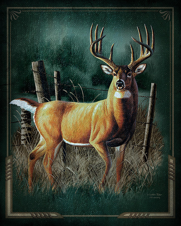 720x900 Whitetail Deer Painting By Jq Licensing - Buck Painting