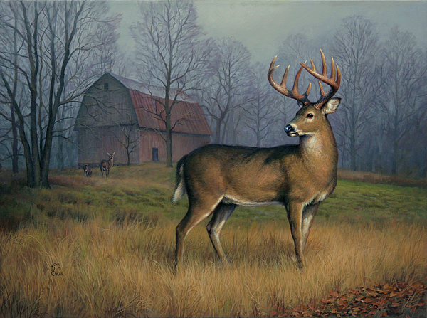 600x447 Barnyard Buck Painting By John Cogan - Buck Painting