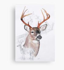 210x230 Buck Painting Amp Mixed Media Canvas Prints Redbubble - Buck Painting