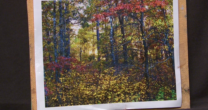 710x377 Painting Concepts With Buck Paulson Making Use Of Nature - Buck Paulson Painting