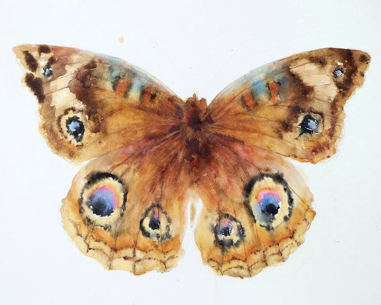 770x616 Saatchi Art Common Buckeye Painting By Emily Mcphee - Buckeye Painting