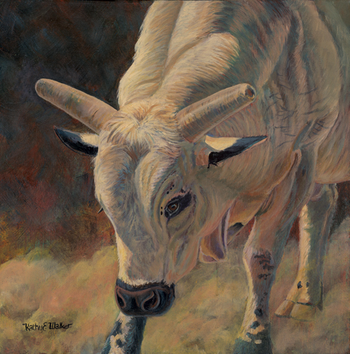504x509 Cholla Brama Bull - Bucking Bull Painting