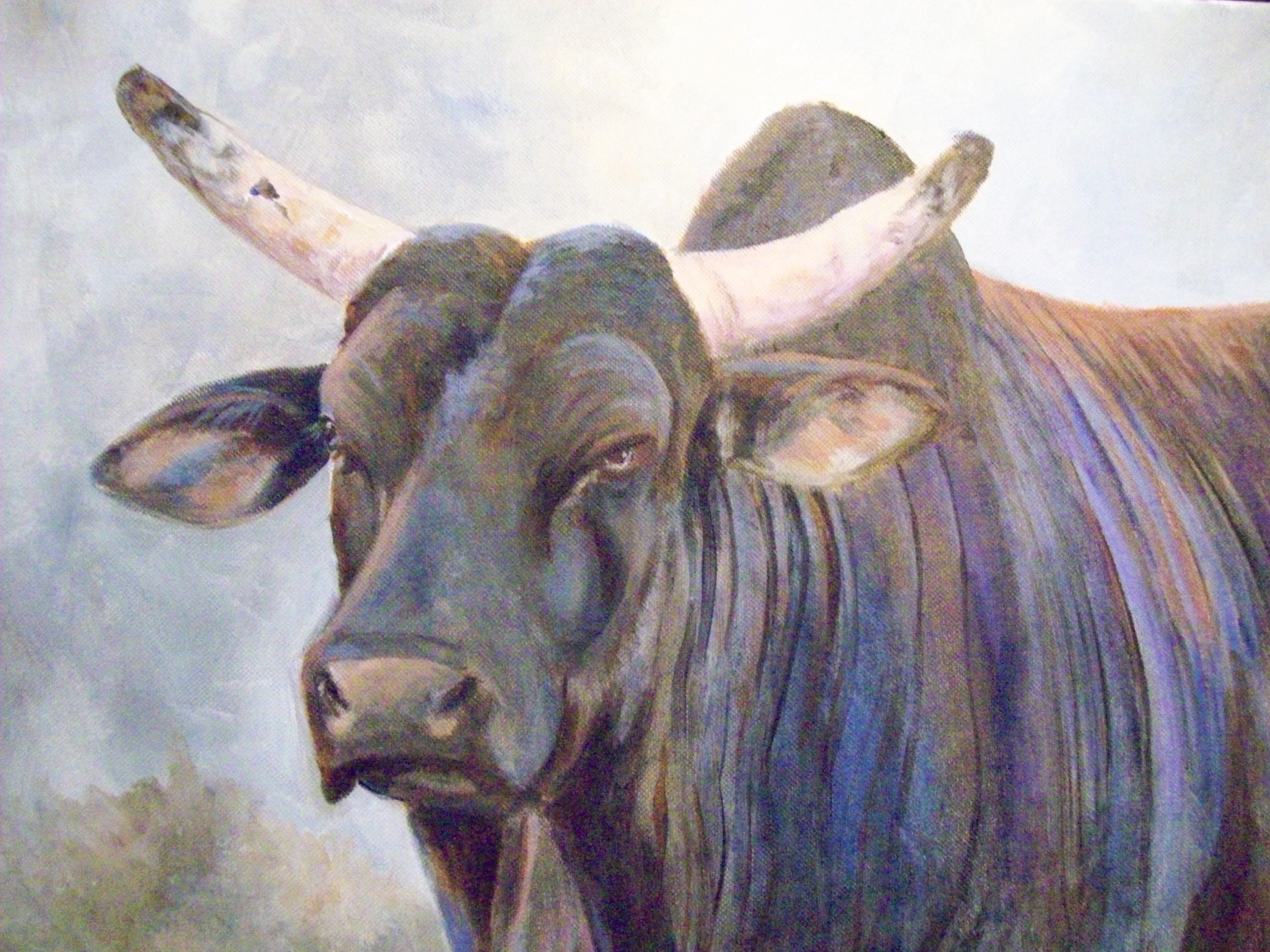 3296x2472 Hynekart's Blog What I Paint And Well, Why Not Page 45 - Bucking Bull Painting