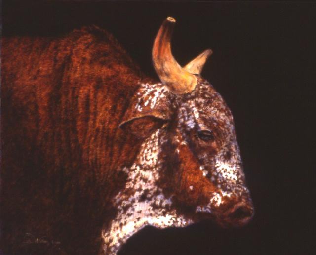 640x516 Rodeo Amp Western Art By Linda Walker - Bucking Bull Painting