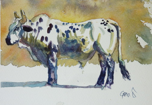 504x349 Bucking Bull Archives - Bucking Bull Painting