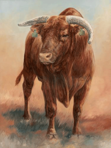 375x500 Posters Mandanrodeo - Bucking Bull Painting