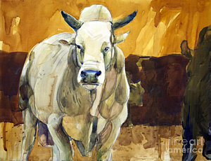 300x230 Bucking Bull Paintings - Bucking Bull Painting