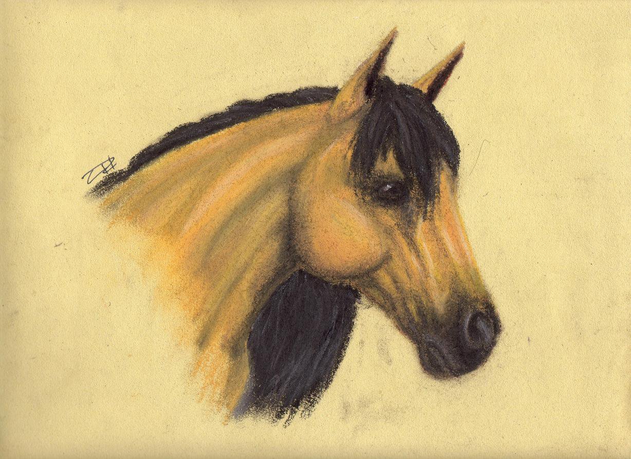 1228x893 Buckskin Horse By Alphawerewolf - Buckskin Horse Painting