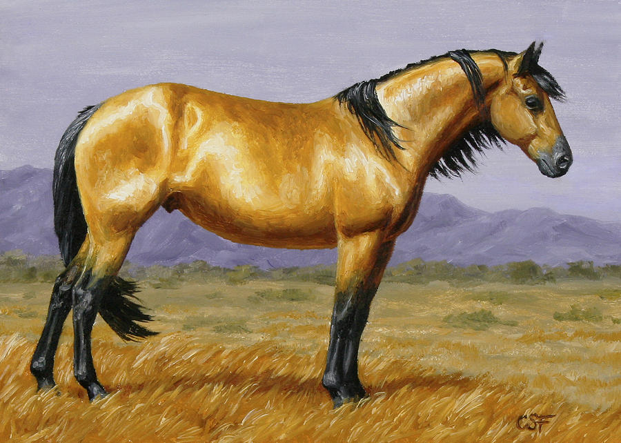 900x642 Buckskin Mustang Stallion Painting By Crista Forest - Buckskin Horse Painting