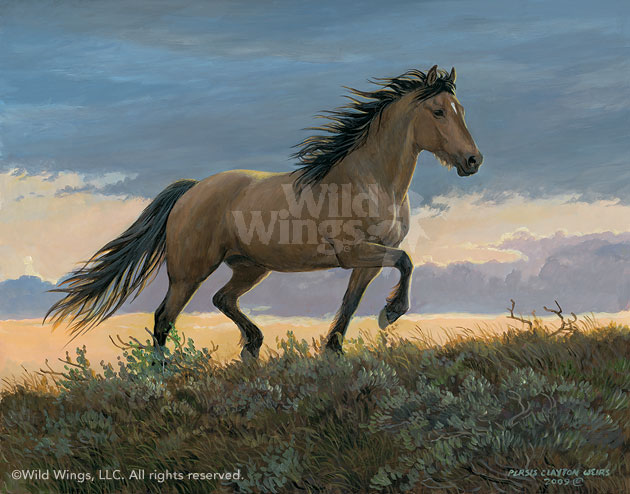 630x494 Buckskin Stallion Original Acrylic Painting Wild Wings - Buckskin Horse Painting