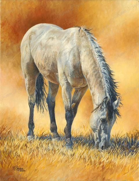 480x623 Buckskin Horse Painting By Karen Boylan Art - Buckskin Horse Painting