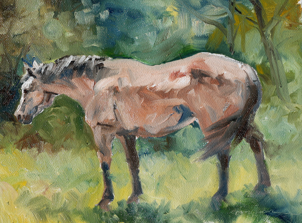 600x442 Carlene Dingman Atwater Buckskin Horse - Buckskin Horse Painting