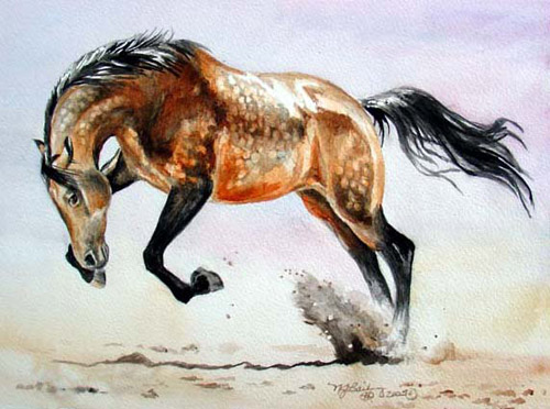 500x372 Horse Artist Interview Nancy J. Bailey The Equinest - Buckskin Horse Painting