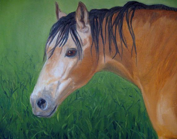 570x447 Horse Oil Painting Horse Portrait Buckskin Horse Art Original - Buckskin Horse Painting