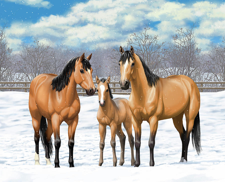 900x728 Buckskin Horses In Winter Pasture Painting By Crista Forest - Buckskin Painting