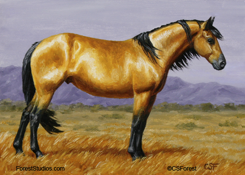 500x357 Equine Art Horse Painting Buckskin Mustang Min By - Buckskin Painting