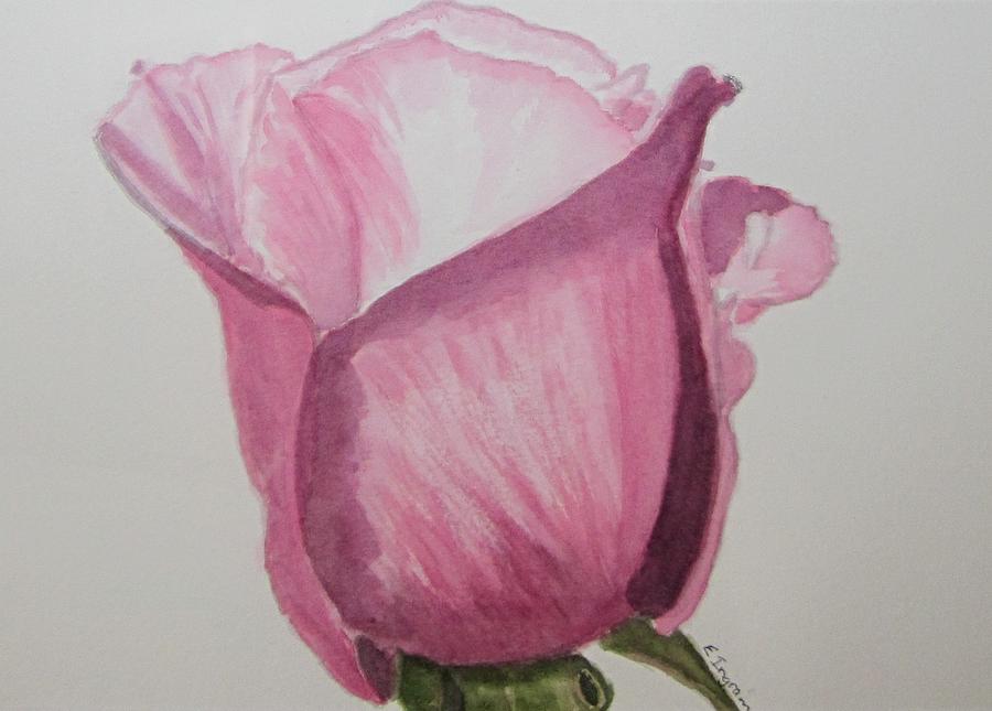 900x645 Rose Bud Painting By Elvira Ingram - Bud Painting