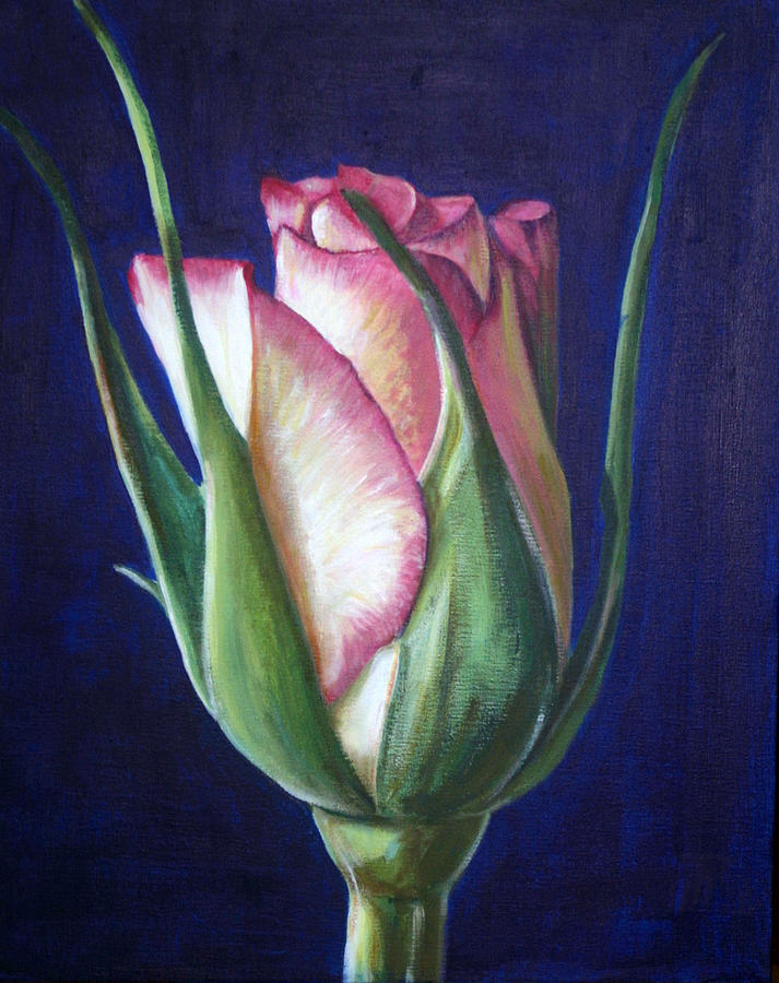 713x900 Rose Bud Painting By Fiona Jack - Bud Painting