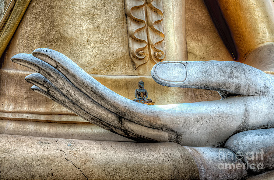 900x593 Buddha's Hand Photograph By Adrian Evans - Buddha Hand Painting
