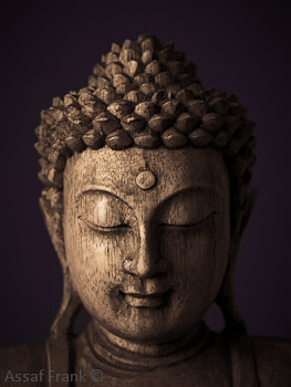 263x350 Buddha Head Blinds Creatively Different - Buddha Head Painting