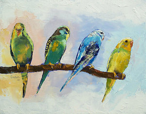 300x234 Budgie Paintings Fine Art America - Budgie Painting