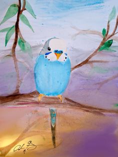 236x314 Cute Blue Budgie Giclee Print, From Original Oil Painting - Budgie Painting