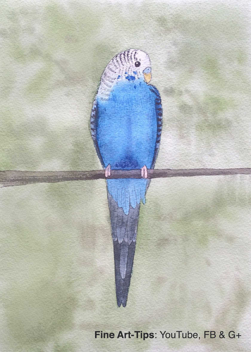 840x1181 How To Paint A Budgerigar In Watercolor - Budgie Painting