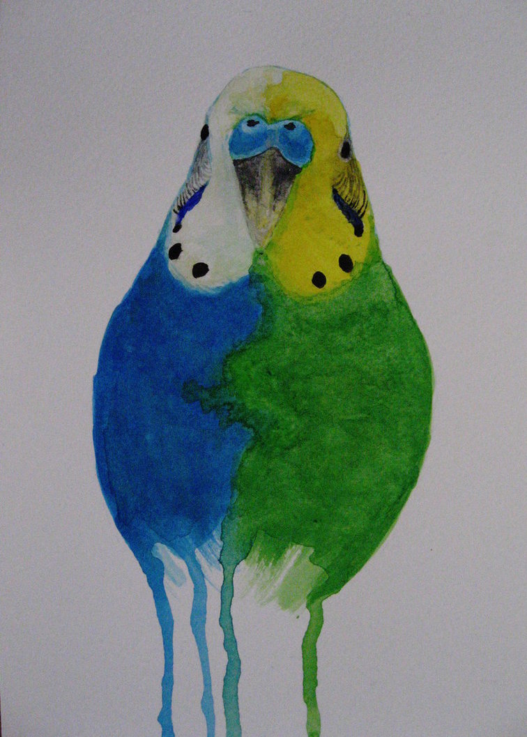 756x1057 Mutant Budgie By Ghyselenbert - Budgie Painting