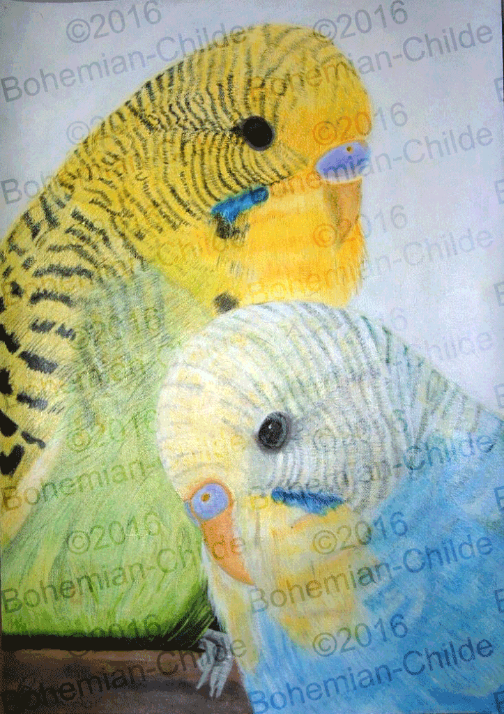 723x1024 Original Acrylic Budgie Painting, Bohemian Childe - Budgie Painting