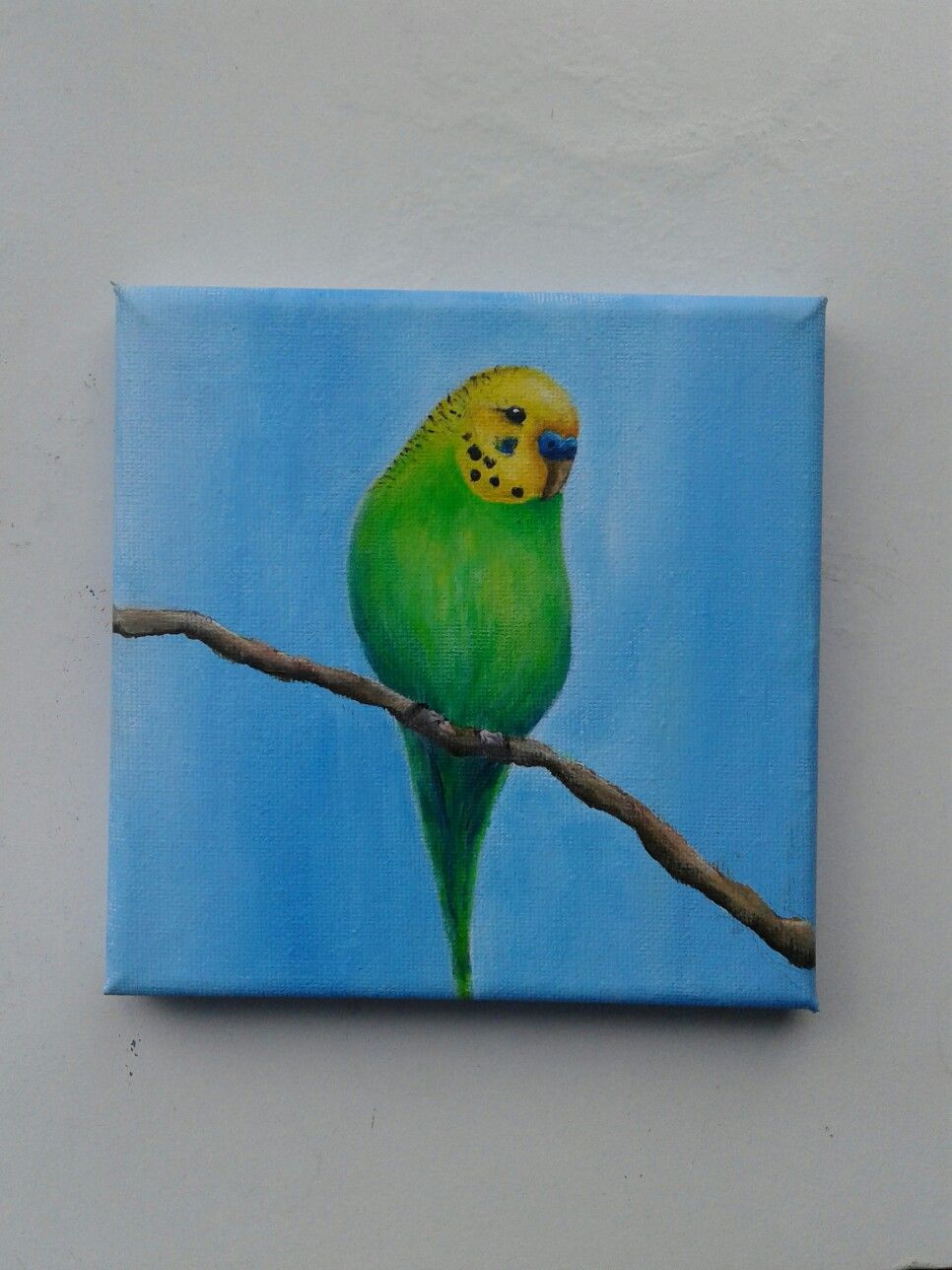 966x1288 Original Budgie Painting ^ ^ My Creations - Budgie Painting