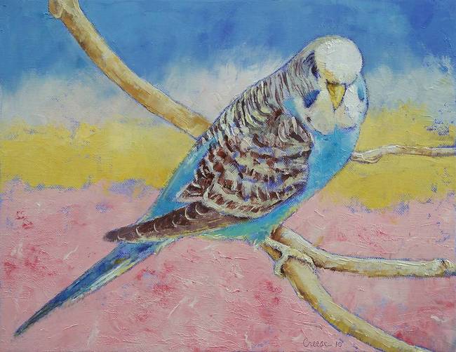 650x502 Sky Blue Budgie By Michael Creese - Budgie Painting