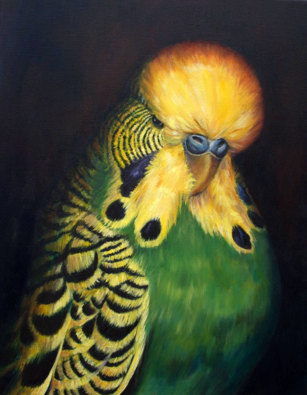 1007x1293 Budgie Bird Art Blank Greeting Card From Oil Painting By - Budgie Painting
