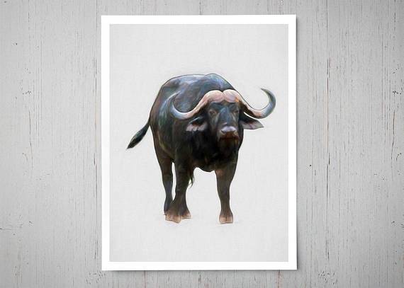 570x407 Buster Cape Buffalo Canvas Painting Octotreasure - Buffalo Canvas Painting