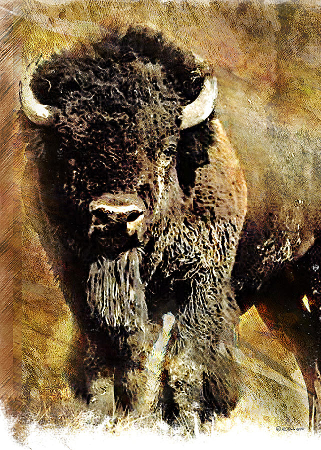 642x900 Buffalo Poster Painting By William Martin - Buffalo Head Painting