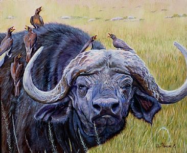 366x299 Cape Buffalo With Oxpeckers - Buffalo Head Painting