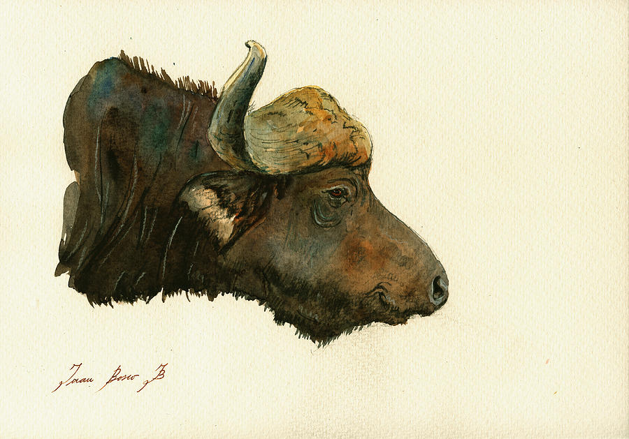 900x629 African Buffalo Watercolor Painting Painting By Juan Bosco - Buffalo Head Painting