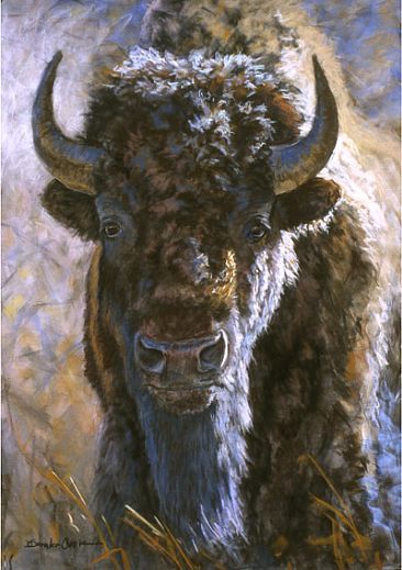 366x519 Message Bison Messages, Buffalo And Animal - Buffalo Head Painting